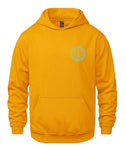 Youth Hoodie with Vintage Logo - Gold